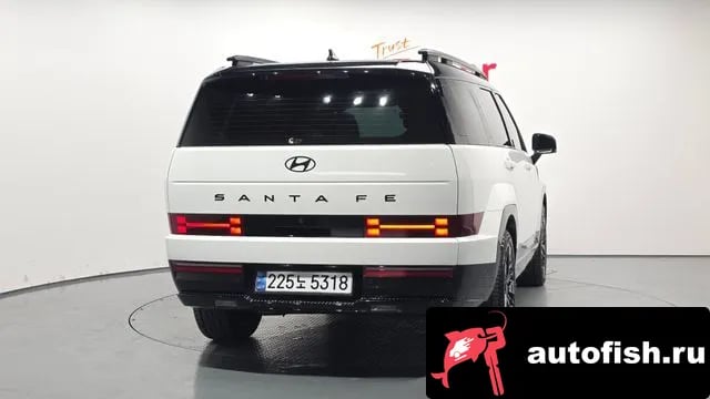 Hyundai Santafe San Tafe (MX5) 2024 года - вид 4