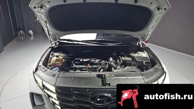 Hyundai Tucson Tucson (NX4) 2021 года - вид 6