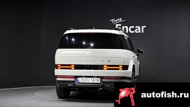 Hyundai Santafe San Tafe (MX5) 2024 года - вид 4