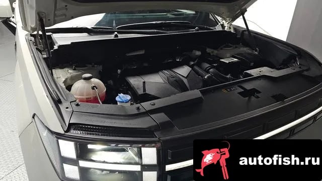 Hyundai Santafe San Tafe (MX5) 2024 года - вид 6