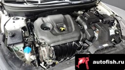 Миниатюра 6