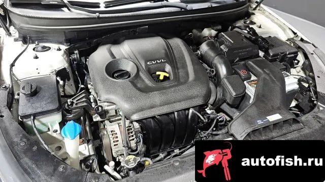 Hyundai Sonata Sonata New Rise 2017 года - вид 6