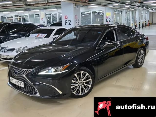 Lexus ES ES300h 7th generation 2020 года - вид 1