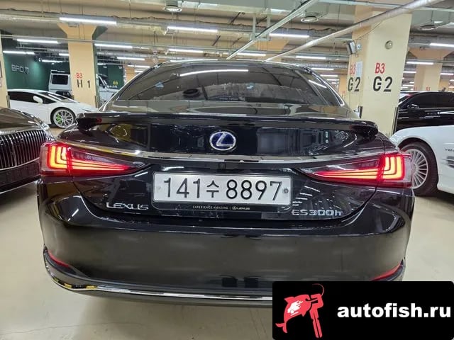 Lexus ES ES300h 7th generation 2020 года - вид 4