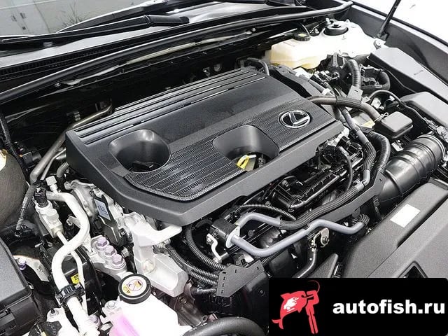 Lexus ES ES300h 7th generation 2024 года - вид 6