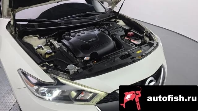 Nissan Maxima Maxima (A36) 2018 года - вид 6