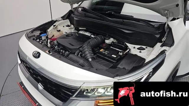 Kia Seltos Celtos 2020 года - похожие автомобили