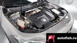 Миниатюра 6