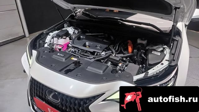 Lexus NX NX350h Second generation 2024 года - вид 6