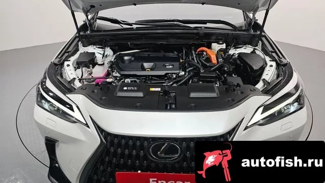 Lexus NX NX350h Second generation 2023 года - вид 6