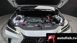 Миниатюра 6