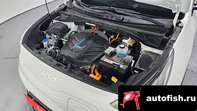 Kia Niro Niro Plus 2023 года - вид 6