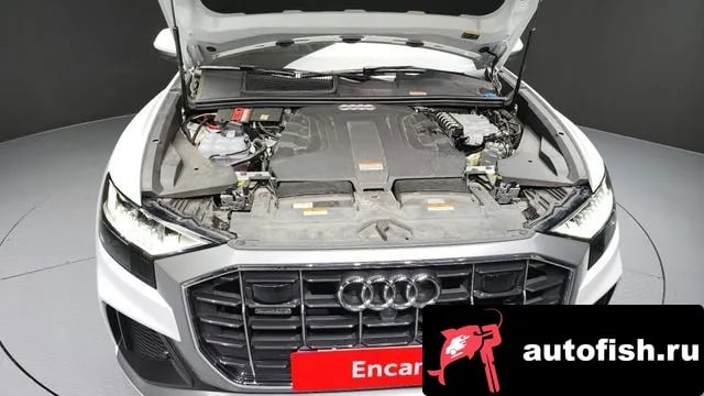 Audi Q8 Q8 (4M) 2024 года - вид 6