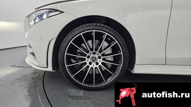 Mercedes-Benz CLS-Class CLS-Class C257 2020 года - вид 5