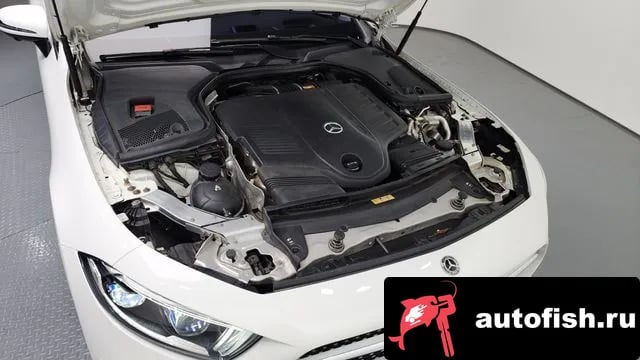 Mercedes-Benz CLS-Class CLS-Class C257 2020 года - вид 6