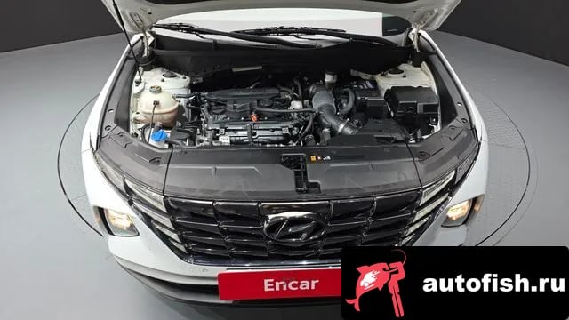 Hyundai Tucson Tucson (NX4) 2021 года - вид 6