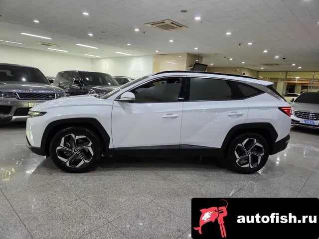 Hyundai Tucson The New Tucson (NX4) 2023 года - вид 3
