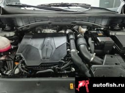 Миниатюра 6