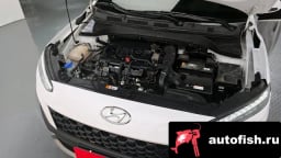 Миниатюра 6