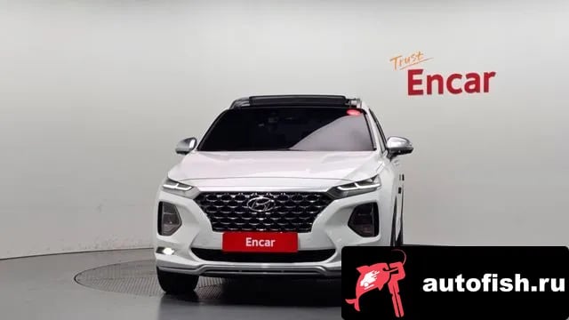 Hyundai Santafe San Tafe TM 2019 года - вид 3