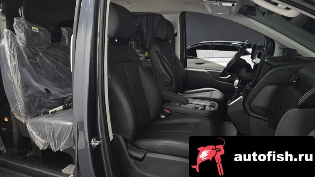 Hyundai Staria Staria 2024 года - похожие автомобили