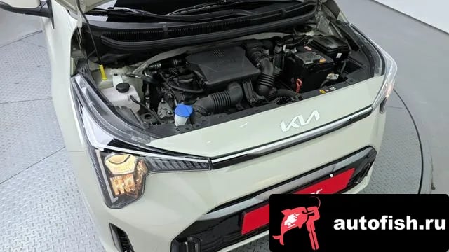 Kia morning The New Morning (JA) 2023 года - вид 6