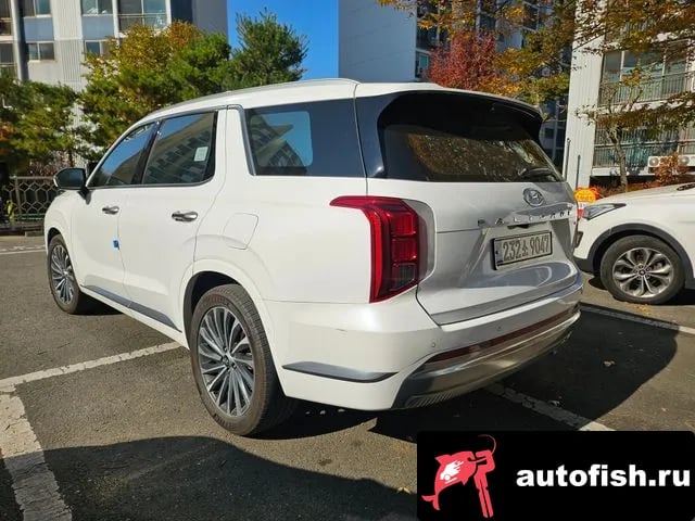 Hyundai Palisade The New Palisade 2024 года - вид 6