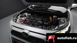 Миниатюра 6