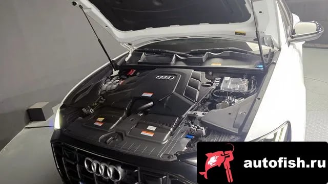 Audi Q8 Q8 (4M) 2023 года - вид 6