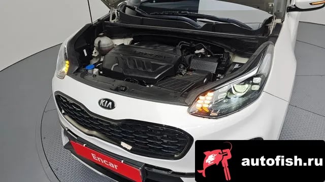 Kia Sportage Sportage The Bold 2019 года - вид 6