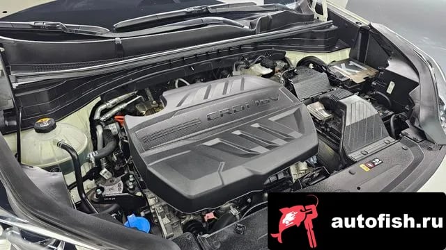 Kia Sportage Sportage The Bold 2020 года - вид 6