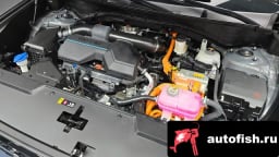 Миниатюра 6