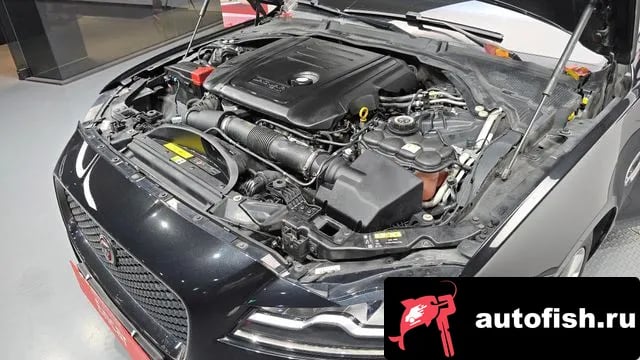 Jaguar XF XF (X260) 2019 года - вид 6