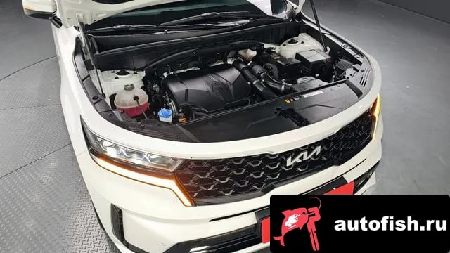 Kia Sorento Sorento 4th Generation 2022 года - вид 6