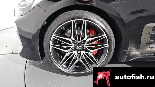 Kia Stinger Stinger Meister 2020 года - вид 5