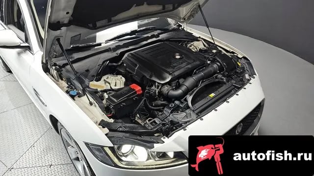 Jaguar XF XF (X260) 2018 года - вид 6