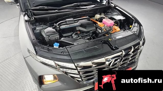 Hyundai Tucson Tucson Hybrid (NX4) 2022 года - вид 6