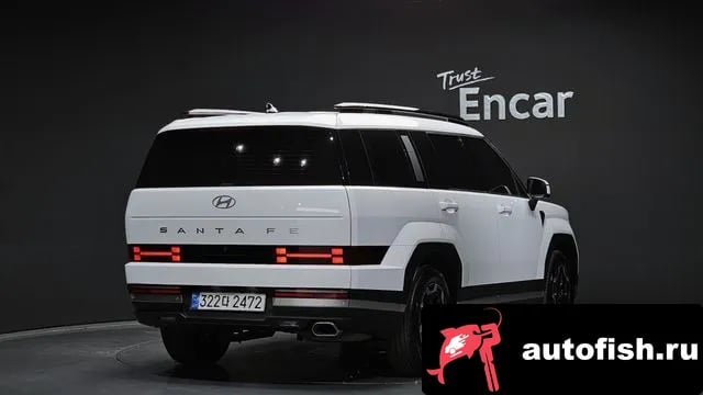Hyundai Santafe San Tafe (MX5) 2024 года - вид 2