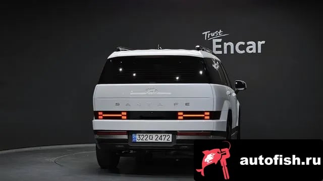 Hyundai Santafe San Tafe (MX5) 2024 года - вид 4