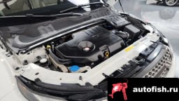 Миниатюра 6