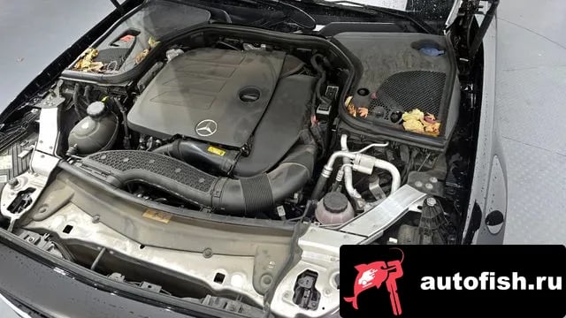 Mercedes-Benz E-Class E-Class W213 2022 года - вид 6