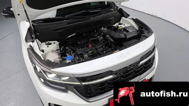 Kia Seltos The New Celtos 2023 года - вид 6