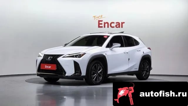 Lexus UX UX250h 2021 года - вид 1