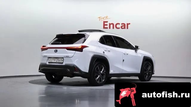 Lexus UX UX250h 2021 года - вид 2