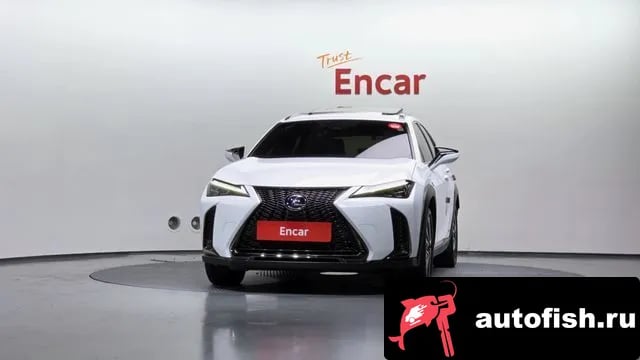 Lexus UX UX250h 2021 года - вид 3