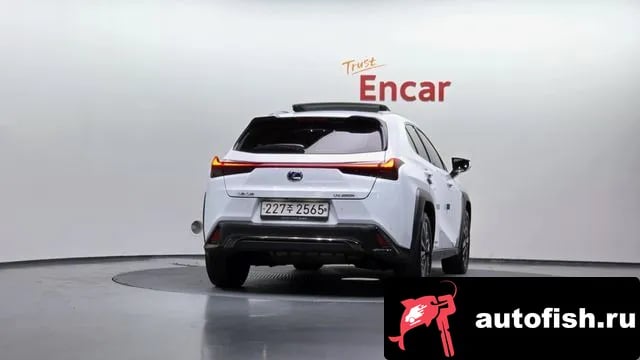 Lexus UX UX250h 2021 года - вид 4