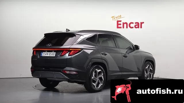 Hyundai Tucson Tucson (NX4) 2023 года - вид 2