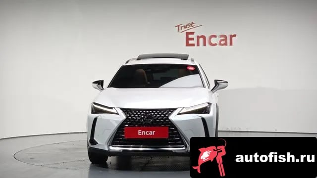 Lexus UX UX250h 2023 года - вид 2