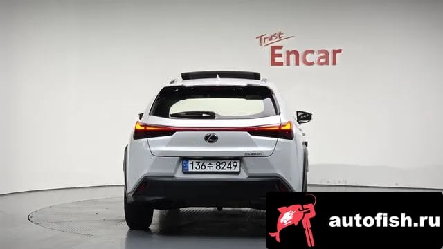 Lexus UX UX250h 2023 года - вид 3