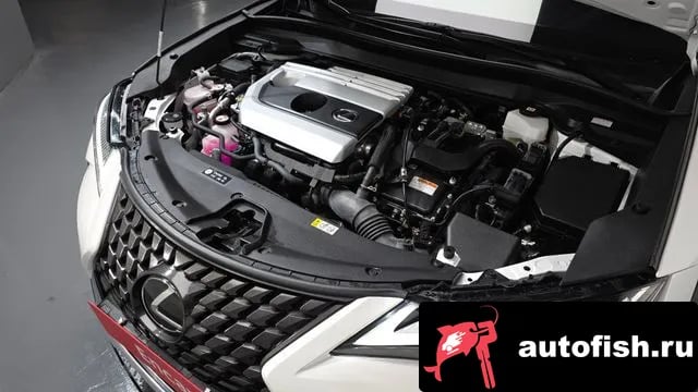 Lexus UX UX250h 2023 года - вид 5